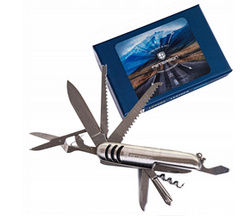 Scyzoryk wielofunkcyjny Peterson S22-10 srebrny